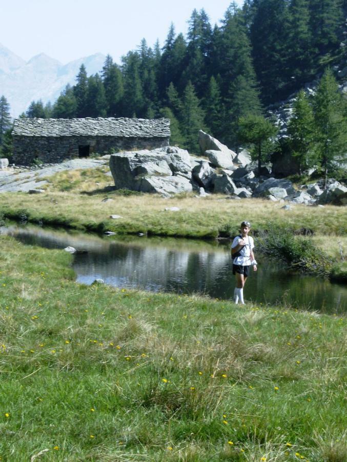 Mansarda Plein Soleil Villa Donnaz Bagian luar foto